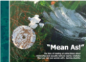 Mean As! Academic Team Report Thumbnail